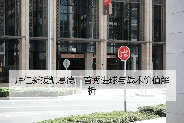 拜仁新援凯恩德甲首秀进球与战术价值解析