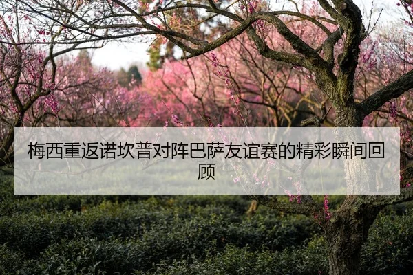 梅西重返诺坎普对阵巴萨友谊赛的精彩瞬间回顾