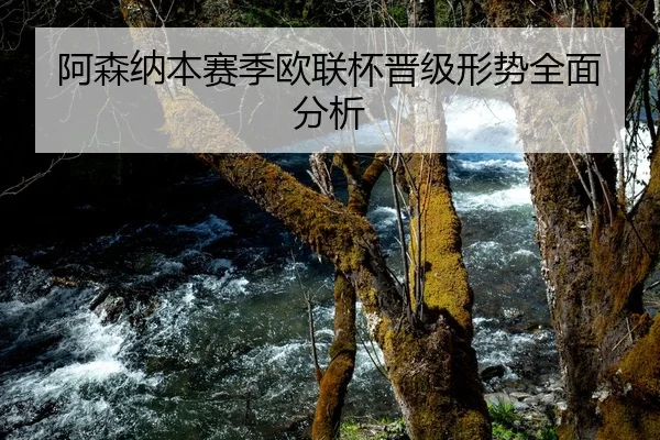 阿森纳本赛季欧联杯晋级形势全面分析